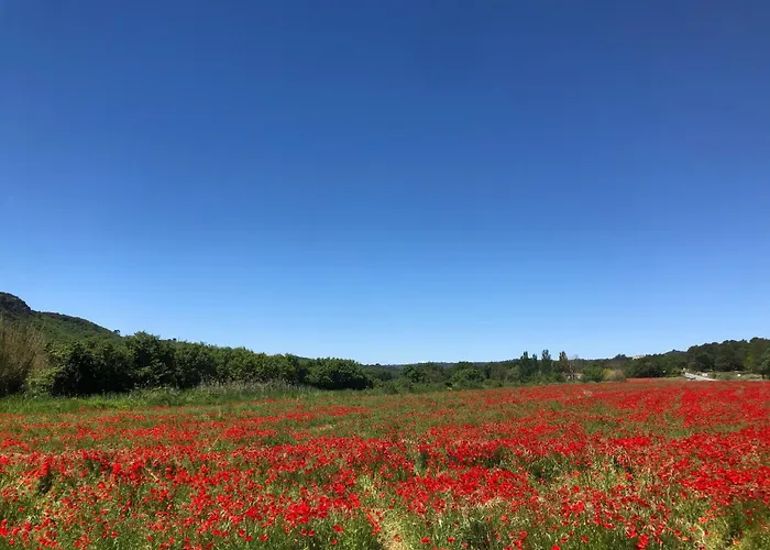 Chez Georges - Maison 2 - Les Gites Du Verdon