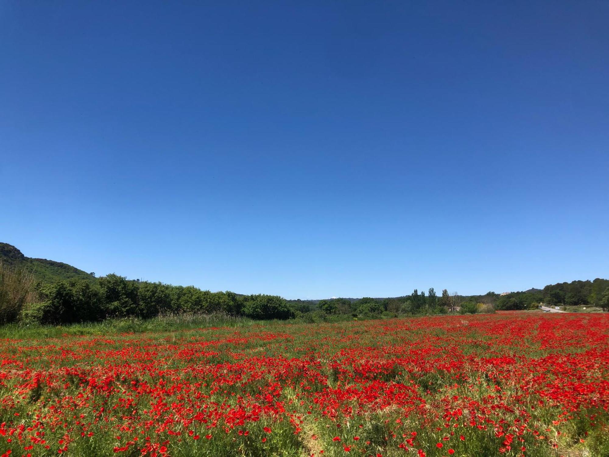 Holiday home Chez Georges - Maison 2 - Les Du Verdon Esparron-de-Verdon